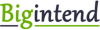 Bigintend Logo