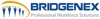 Bridgenex Logo
