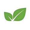 Mint Software Logo