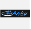 Nakphy IT Firm Logo