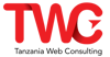 Tanzania Web Consulting Logo