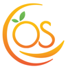 OrangeSkill Technologies Logo