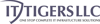 IT TIGERS LLC Logo