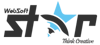 Websoftstar Infosystems LLP Logo