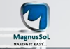 MagnusSoL LLC Logo