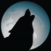 MoonDog Web Hosting and Design Logo
