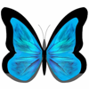 Morpho Marketing Logo