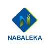 Nabaleka Digital Solutions Logo