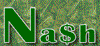 Nash Business Services Logo