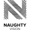 Naughty Vision Logo