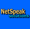 Netspeak Solutions Logo