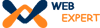 indorewebexpert Logo