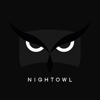 NightOwlSEO Logo