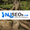 NJSEOs Website Design, SEO & PPC Agency Logo