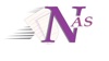 NoiseAcct Services LLC Logo