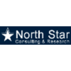 North Star Consulting & Research Logo