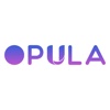 Opula Software Development Pvt. Ltd. Logo