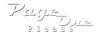 PageOnePlease.com Logo