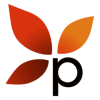 Paramaya Web Consulting, LLC Logo
