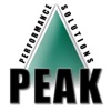 Peak Performance Solutions Logo
