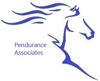 Pendurance Associates LLC Logo