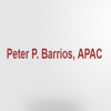 Barrios Peter P CPA Logo