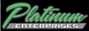 Platinum Enterprises Logo