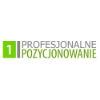 Profesjonalne Pozycjonowanie Logo