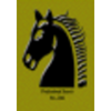 Professional Search, Inc. Logo