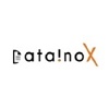 Datainox Logo