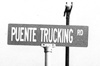 Puente Trucking Logo