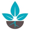 Rapacki + Co CPAs Logo
