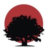 Ruby Moon Consulting Logo