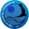 Sea-Wing Designs Logo