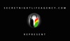 Secret Nightlife Agency Logo