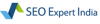 SEO Expert India Logo