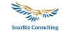 SoarBiz Consulting Logo