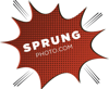 Sprung Photo Logo