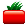Square Tomato LLC Logo
