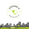 Steviana IT Logo