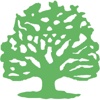 Stone Oak Web Design Logo