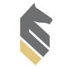 StrategyWise Logo
