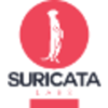 Suricata Digital Logo