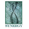 Synergy Computer Solutions Logo