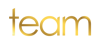 Team Accountants Logo