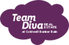 Team Diva Real Estate Logo