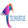 Techvertue Technology Pvt Ltd Logo