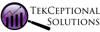 TekCeptional Solutions Logo