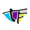 Teri Flash Creative Logo
