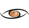 Tiger Team Consulting Logo